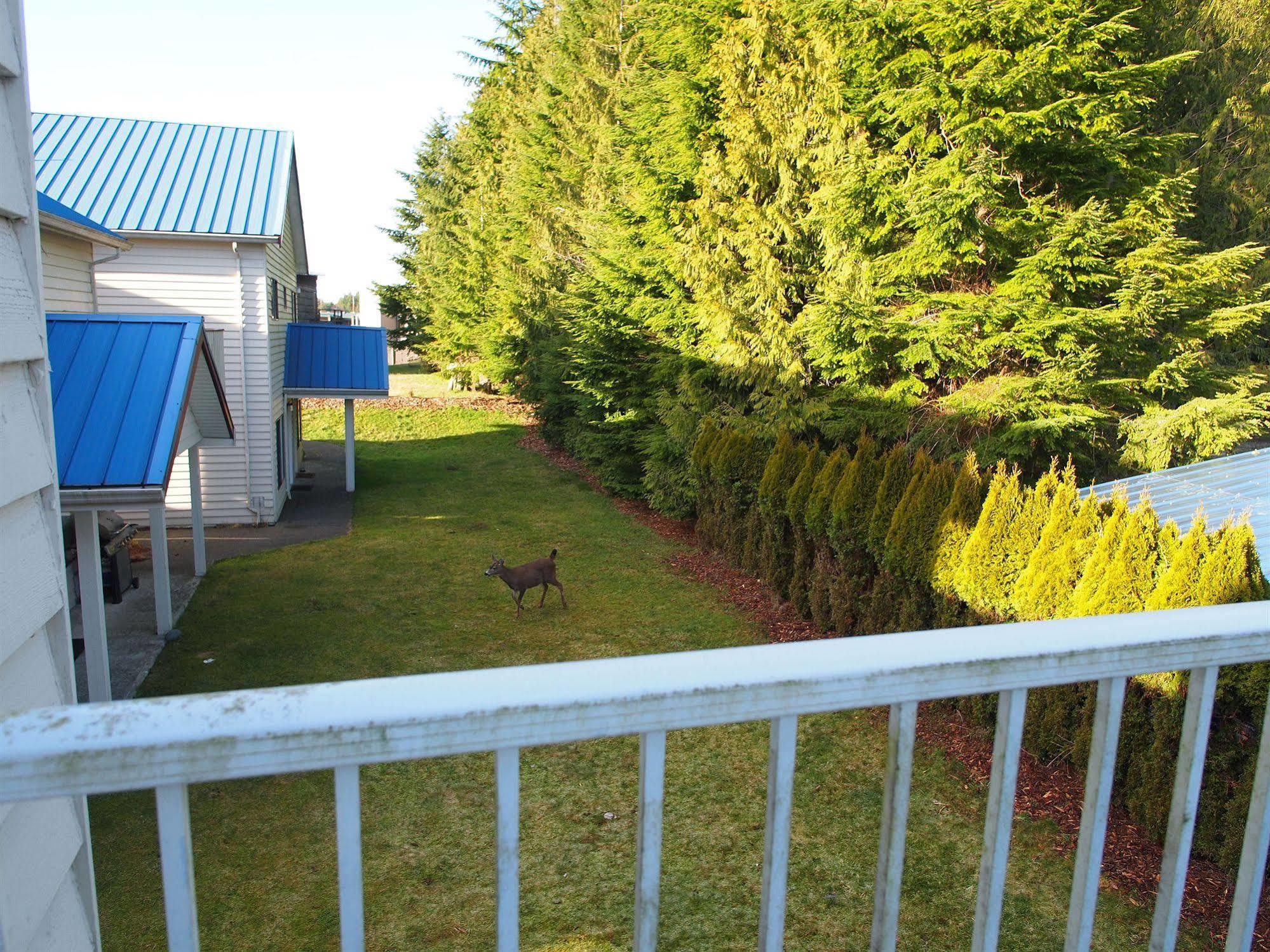 Whale'S Tail Guest Suites Ucluelet Exterior foto